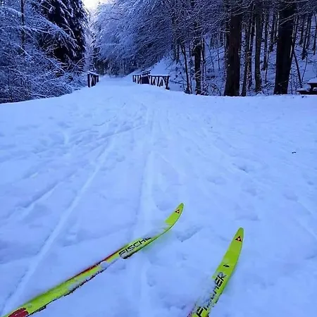 Nebina Daire Rateče