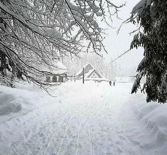 Nebina Daire Rateče