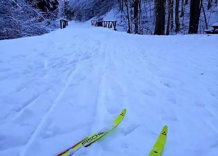 Nebina Daire Rateče