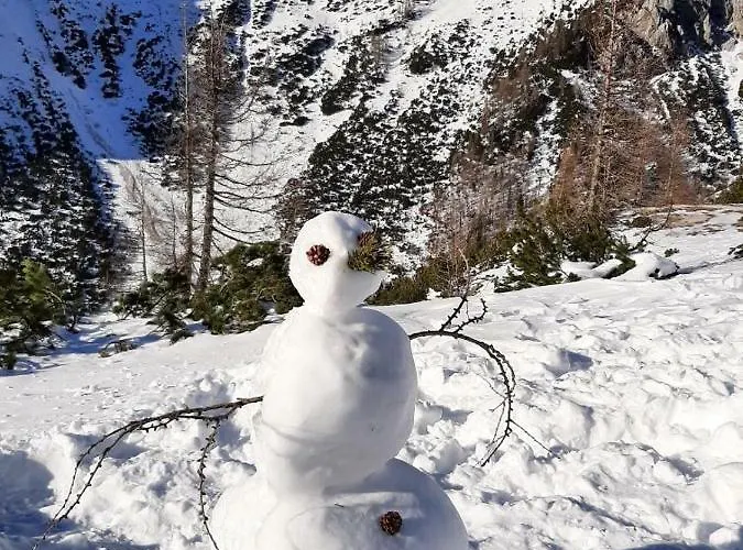 Daire Nebina Rateče